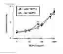 Fig. 42 - METHODS OF TREATING OR PREVENTING AN INFLAMMATORY DISEASE OR CONDITION USING GLUTAMINYL CYCLASE INHIBITORS