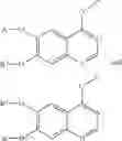 Fig. 616 - C-Met Modulators and Method of Use