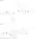 Fig. 17 - Dimeric IAP Inhibitors