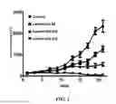 Fig. 03 - Compound, a process for its preparation, a pharmaceutical composition, use of a compound, a method for modulating or regulating serine/threonine kinases and a serine/threonine kinases modulating agent