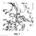 Fig. 10 - COMPOSITIONS COMPRISING SPECIFIC UGT INHIBITORS AND METHODS OF USE THEREOF