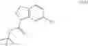 Fig. 213 - Compounds and methods of use