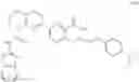 Fig. 306 - Compounds and methods of use