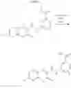 Fig. 07 - PYRIDO PYRIMIDINES