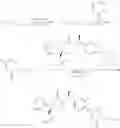 Fig. 90 - CYCLIC INHIBITORS OF 11BETA-HYDROXYSTEROID DEHYDROGENASE 1