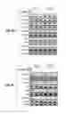Fig. 06 - Molecular diagnostic methods for predicting brain metastasis of breast cancer