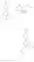 Fig. 15 - Solid forms of gyrase inhibitor (R)-1-ethyl-3-[6-fluoro-5-[2-(1-hydroxy-1-methyl-ethyl)pyrimidin-5-yl]-7-(tetrahydrofuran-2-yl)-1H-benzimidazol-2-yl]urea