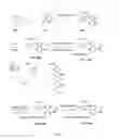 Fig. 06 - Aadenosine receptor agonists and antagonists