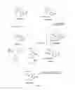 Fig. 07 - Aadenosine receptor agonists and antagonists