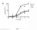 Fig. 09 - Aadenosine receptor agonists and antagonists