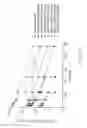 Fig. 16 - Oligomer-opioid agonist conjugates