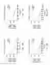 Fig. 23 - Oligomer-opioid agonist conjugates