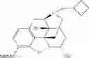 Fig. 33 - Oligomer-opioid agonist conjugates