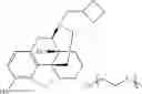 Fig. 45 - Oligomer-opioid agonist conjugates