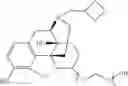 Fig. 52 - Oligomer-opioid agonist conjugates