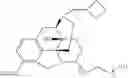 Fig. 53 - Oligomer-opioid agonist conjugates