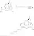 Fig. 90 - Oligomer-opioid agonist conjugates