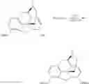 Fig. 92 - Oligomer-opioid agonist conjugates