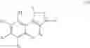 Fig. 207 - MODULATORS OF ATP-BINDING CASSETTE TRANSPORTERS
