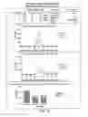 Fig. 13 - DESFERRITHIOCIN POLYETHER ANALOGUES AND USES THEREOF