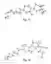 Fig. 16 - DESFERRITHIOCIN POLYETHER ANALOGUES AND USES THEREOF