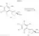 Fig. 31 - DESFERRITHIOCIN POLYETHER ANALOGUES AND USES THEREOF