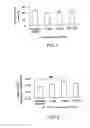 Fig. 02 - Laminin-332 product on stimulating composition