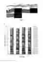 Fig. 02 - Use of MicroRNA for treating diseases associated with a dysfunction of the cilia in multiciliated epithelial cells