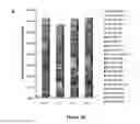 Fig. 03 - Use of MicroRNA for treating diseases associated with a dysfunction of the cilia in multiciliated epithelial cells