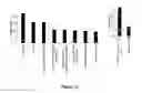 Fig. 11 - Use of MicroRNA for treating diseases associated with a dysfunction of the cilia in multiciliated epithelial cells