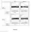 Fig. 14 - Use of MicroRNA for treating diseases associated with a dysfunction of the cilia in multiciliated epithelial cells