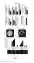 Fig. 15 - Use of MicroRNA for treating diseases associated with a dysfunction of the cilia in multiciliated epithelial cells