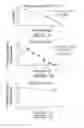 Fig. 03 - ANTIVIRAL OLIGONUCLEOTIDES