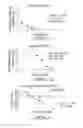 Fig. 05 - ANTIVIRAL OLIGONUCLEOTIDES