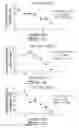 Fig. 07 - ANTIVIRAL OLIGONUCLEOTIDES