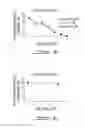 Fig. 12 - ANTIVIRAL OLIGONUCLEOTIDES