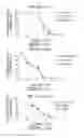 Fig. 16 - ANTIVIRAL OLIGONUCLEOTIDES