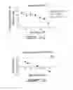 Fig. 20 - ANTIVIRAL OLIGONUCLEOTIDES