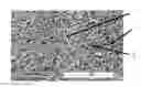 Fig. 01 - Expandable functional TFE copolymer fine powder, the expandable functional products obtained therefrom and reaction of the expanded products