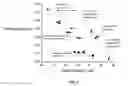 Fig. 02 - CURABLE RESINS AND ARTICLES MADE THEREFROM