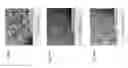 Fig. 12 - RESIN COMPOSITION FOR CARBON DIOXIDE EMISSION REDUCTION, METHOD FOR PRODUCING THE SAME, AND USE THEREOF