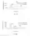 Fig. 03 - Stationary phase composition for chromatographic separation and method for preparing same