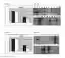Fig. 04 - antigens