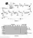Fig. 09 - COST-EFFECTIVE METHOD FOR EXPRESSION AND PURIFICATION OF RECOMBINANT PROTEINS IN PLANTS