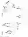 Fig. 03 - Methods for the generation of multispecific and multivalent antibodies