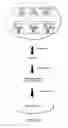Fig. 11 - Methods for the generation of multispecific and multivalent antibodies