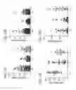 Fig. 20 - Methods for the generation of multispecific and multivalent antibodies