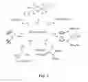 Fig. 03 - Preparation of uranium compounds