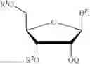 Fig. 19 - PROTECTED MONOMERS AND METHODS OF DEPROTECTION FOR RNA SYNTHESIS