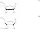 Fig. 30 - PROTECTED MONOMERS AND METHODS OF DEPROTECTION FOR RNA SYNTHESIS